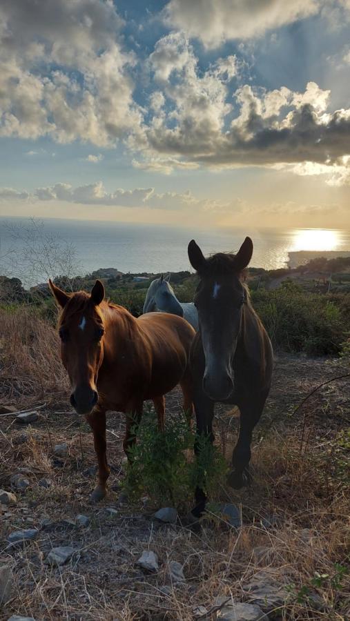 Terre Di Tusa Εξωτερικό φωτογραφία