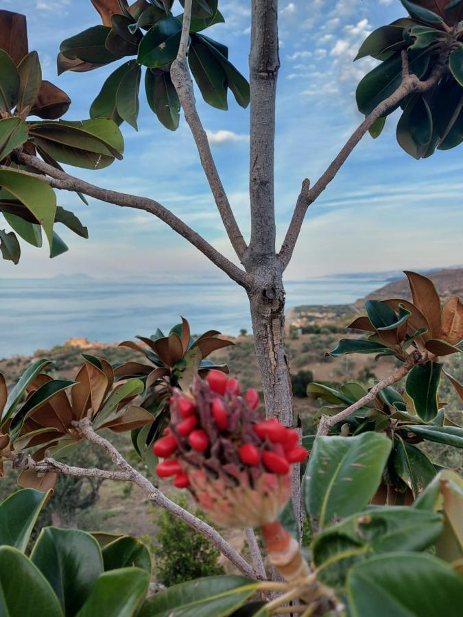 Terre Di Tusa Εξωτερικό φωτογραφία