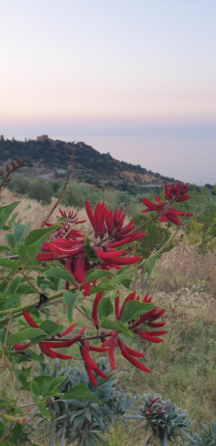 Terre Di Tusa Εξωτερικό φωτογραφία