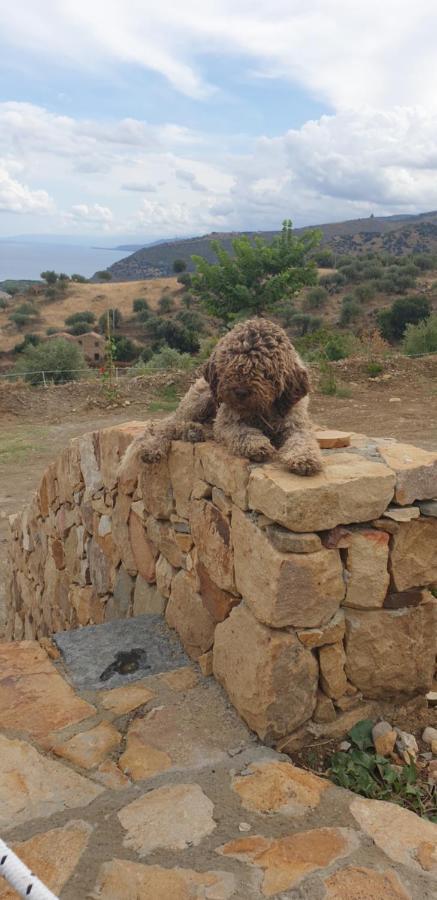 Terre Di Tusa Εξωτερικό φωτογραφία